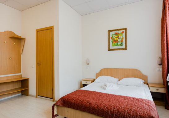 DOUBLE: double room with a double bed in the center of St. Petersburg - Oktaviana Hotel 2