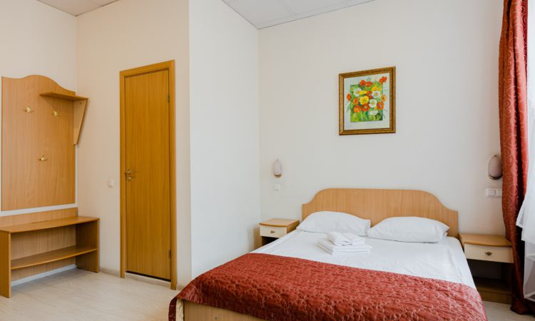 DOUBLE: double room with a double bed in the center of St. Petersburg - Oktaviana Hotel 2