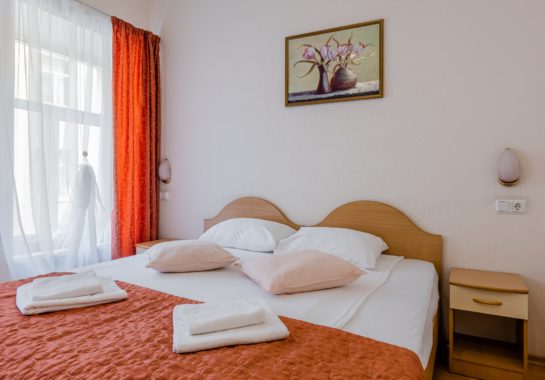 TRIPLE: triple room in the center of St. Petersburg - Oktaviana Hotel 11