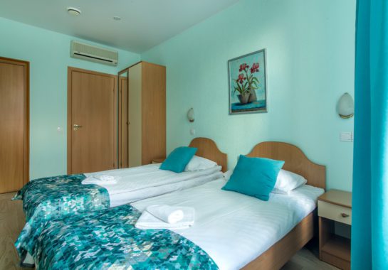 TWIN: double room with separate beds in the center of St. Petersburg - Oktaviana Hotel 7